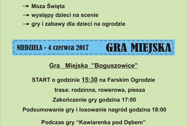 dni boguszowic 2017